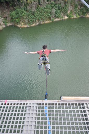 A person in a red shirt and gray pants is bungee jumping off a metal platform. They are wearing a harness and are mid-air with arms extended outward, facing a body of water below. Dense green foliage lines the opposite shore in the background.
