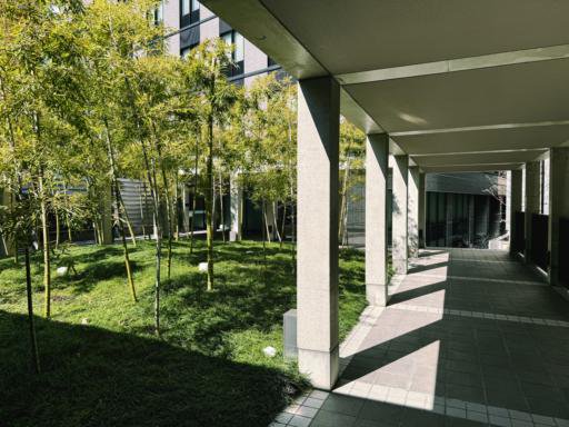 A covered walkway with concrete columns leads alongside a grassy courtyard filled with bamboo plants. Sunlight casts intricate shadows on the tiled pathway. A modern building with large windows frames the background.